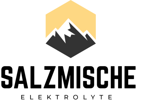 salzmische.de logo